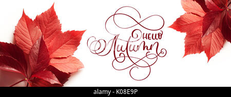 Calligraphy lettering testo ciao autunno. foglie rosse su sfondo bianco Foto Stock