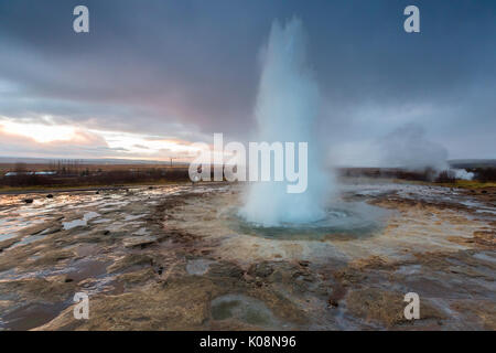 Strokkur Geyser eruzione all'alba, Haukadalur area geotermica, Haukadalur, Arnessysla, Sudurland, Islanda, Europa Foto Stock