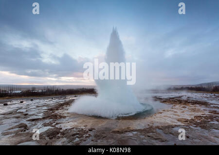 Strokkur Geyser eruzione all'alba, Haukadalur area geotermica, Haukadalur, Arnessysla, Sudurland, Islanda, Europa Foto Stock
