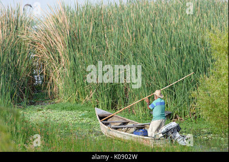 Fisherman espone per la cattura del mattino sul lago Chapala, Ajijic, Jalisco, Messico. Foto Stock