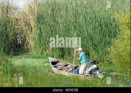 Fisherman espone per la cattura del mattino sul lago Chapala, Ajijic, Jalisco, Messico. Foto Stock