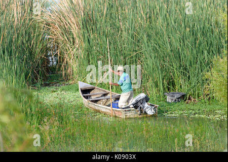 Fisherman espone per la cattura del mattino sul lago Chapala, Ajijic, Jalisco, Messico. Foto Stock