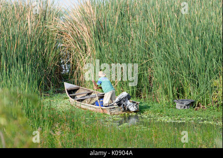 Fisherman espone per la cattura del mattino sul lago Chapala, Ajijic, Jalisco, Messico. Foto Stock