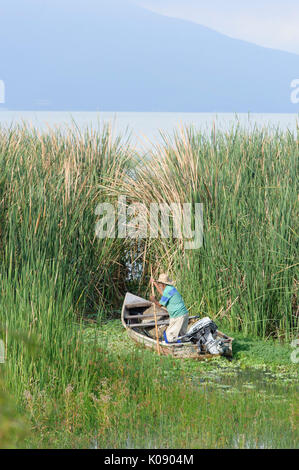 Fisherman espone per la cattura del mattino sul lago Chapala, Ajijic, Jalisco, Messico. Foto Stock