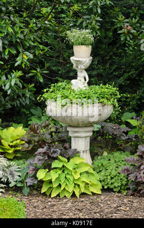 Alumroots (heuchera) e piantaggine gigli (hosta) presso una fontana. design: marianne e detlef lüdke Foto Stock