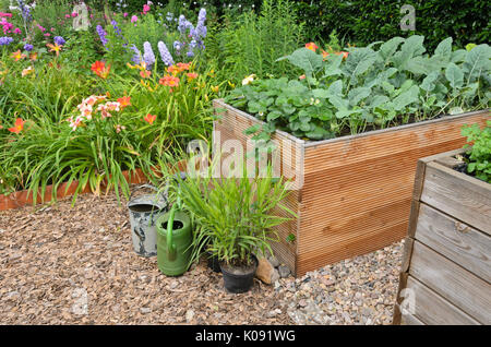 Fragola da giardino (Fragaria x ananassa) e kohlrabi (Brassica oleracea var. Gongyloides) in letti rialzati. Design: Marianne e Detlef Lüdke Foto Stock