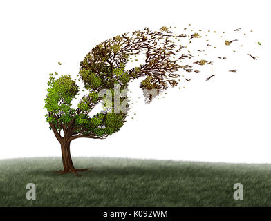 I periodi di turbolenza economica e problemi finanziari e denaro avversità o crisi economia nozione come un albero di essere soffiata dal vento. Foto Stock