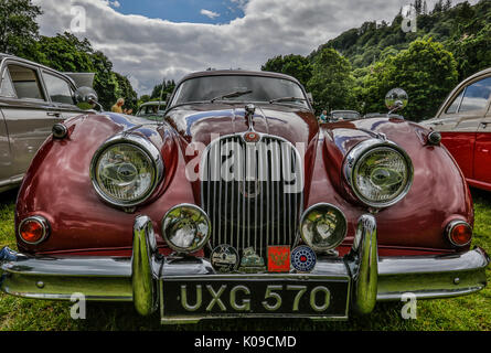 Il Galles Agosto 2017. Il nord del Galles car club car show all'esterno. Automobili classiche da Europa, America e in Gran Bretagna. Auto HDR catturato con dettagli nitidi. Foto Stock