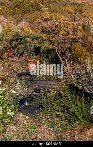 Vecchio carrello pneumatici (pneumatici), oggetto di pratiche di dumping nel bush australiano, Australia occidentale Foto Stock