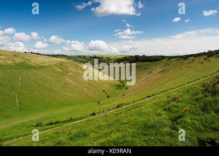 Una vista del secco chalk valle conosciuta come diavoli Dyke, South Downs National Park, West Sussex, in Inghilterra Foto Stock