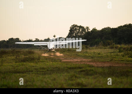 Cessna 175 di atterraggio su una pista di atterraggio per aerei sporchi nel pantanal del Brasile Foto Stock