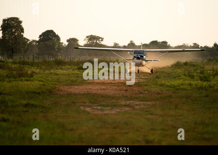 Cessna 175 di atterraggio su una pista di atterraggio per aerei sporchi nel pantanal del Brasile Foto Stock