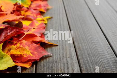 Cadono le foglie rosso giallo sfondo verde Foto Stock