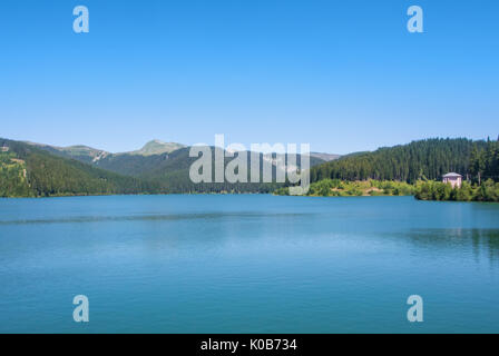 Una vista al lago Bolboci dal leggermente umido con le montagne dei Carpazi in background, Sinaia, Romania. Foto Stock