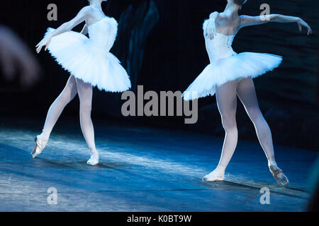 Coreografia, arte, concetto di balletto. corpi impeccabile di due femmina ballerini sono splendenti nella luce brillante di proiettori, essi stanno alzando le loro mani come bello e maestoso cigni Foto Stock