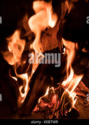 Fuoco che arde nel caminetto vicino fino Foto Stock