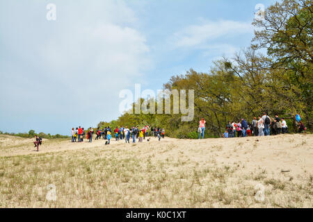 Vecchia Foresta Letea e dune di sabbia, incredibili attrazioni turistiche nel Delta del Danubio, Romania Foto Stock