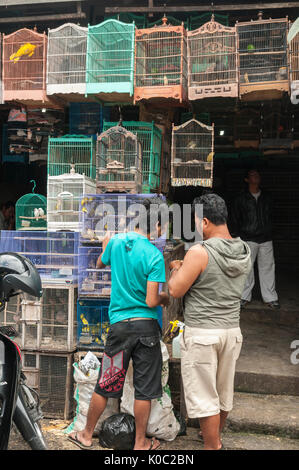 I clienti di ammirare gli uccelli all'uccello e il mercato degli animali a Denpasar, meridionale di Bali, Indonesia. Foto Stock