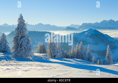 Aussicht von der Rigi, Schweiz Foto Stock