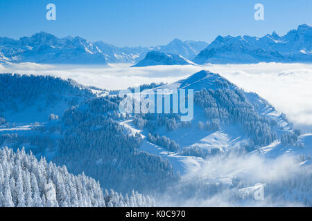 Aussicht von der Rigi, Schweiz Foto Stock