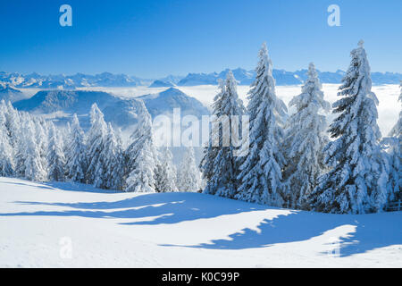 Aussicht von der Rigi, Schweiz Foto Stock