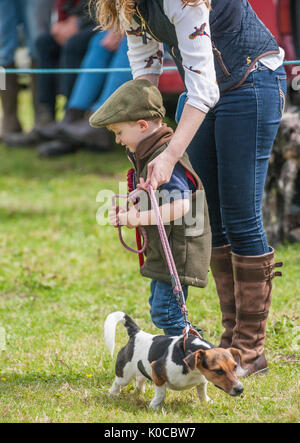 La suoneria di Barlow Dog Show - Terrier in mostra handeled anello da un giovane ragazzo e la sua mamma Foto Stock