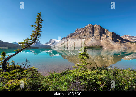 Bellissimo Bow Lake nel Parco Nazionale di Banff, Canada. Foto Stock