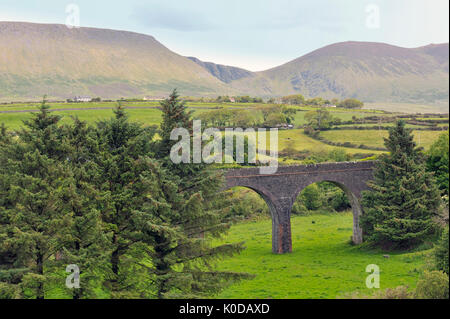 L'Irlanda vista sulla campagna in estate Foto Stock