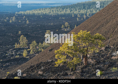 Stati Uniti d'America, Oregon, centrale, Deschutes County, Lava Butte, Newberry vulcanica monumento nazionale Foto Stock
