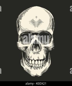 Cranio umano prelevato nel retro stile di attacco isolati su sfondo nero, vista frontale. Concetto di orrore e il male. Monocromatico illustrazione vettoriale per cartolina, logotipo, banner, tatuaggi, T-shirt stampa. Illustrazione Vettoriale