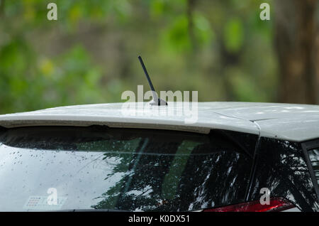 Close up autoradio antenna sul bianco auto Foto Stock