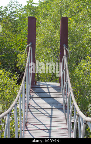 Ponte di corde sopra la foresta di mangrovie, ponte di corde nel Parco Nazionale, Thailandia Foto Stock