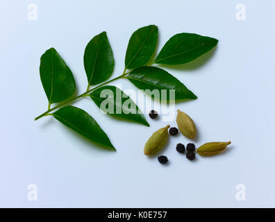 Foglie di curry con il cardamomo su uno sfondo bianco con fresco verde di foglie e pepe nero, utilizzati per la cottura tradizionale cibo gustoso in Kerala Foto Stock