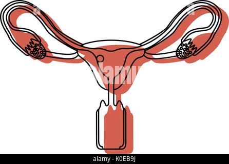Dipinti ad acquerello silhouette del sistema riproduttivo femminile ovaie con ovulo fecondato Illustrazione Vettoriale
