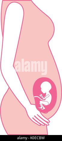 Silhouette di rosa di vista laterale del processo di gravidanza nel corpo femmina feto umano semestrer crescita Illustrazione Vettoriale