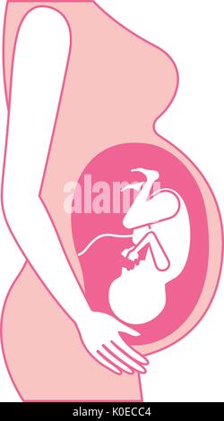 Silhouette di rosa di vista laterale del processo di gravidanza nel corpo femmina feto la crescita umana nono mese Illustrazione Vettoriale