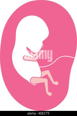 Silhouette di rosa di vista laterale del feto la crescita umana nella placenta di un paio di settimane Illustrazione Vettoriale