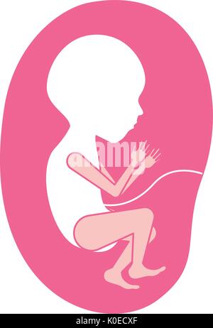 Silhouette di rosa di vista laterale del feto la crescita umana nella placenta semestrer Illustrazione Vettoriale