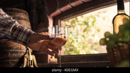 Coltivatore esperto ed enologo per degustare un bicchiere di delizioso vino bianco in cantina e vigneto lussureggianti sullo sfondo Foto Stock