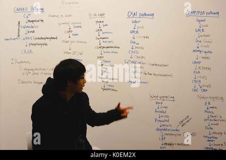 Uno studente di college seduto di fronte a una lavagna a parete in una sala di studio in brody learning commons su homewood campus, egli è rivolto ad alcune delle sue note sulla parete dietro di lui, 2015. cortesia eric chen. Foto Stock