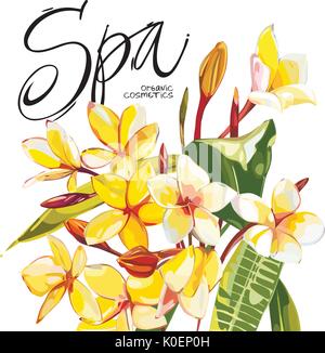 Illustrazione con realistica acquerello Plumeria fiori. Bel bouquet con piante tropicali e word- Spa. EPS 10 Illustrazione Vettoriale