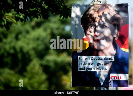 Ombre di alberi in una campagna elettorale il poster con il Cancelliere tedesco e CDU candidato primo Angela Merkel davanti al Bundestag tedesco 2017 elezioni parlamentari in Hannover, Germania, 23 agosto 2017. Foto: Julian Stratenschulte/dpa