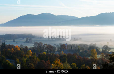 Autunno umore, nebbia di mattina su loisach, villaggio Zell vicino Grossweil, Alta Baviera, Baviera, Germania Foto Stock