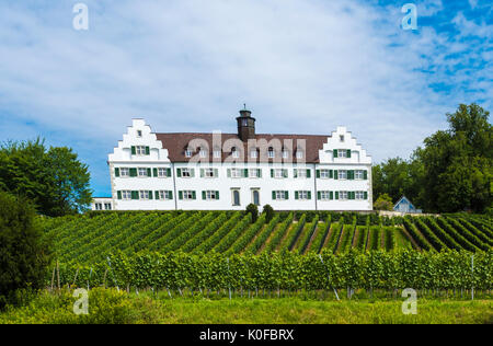 Hersberg castello nei pressi del villaggio Immenstaad sul Lago di Costanza - Immenstaad, Lago di Costanza, Baden-Wuerttemberg, Germania, Europa Foto Stock