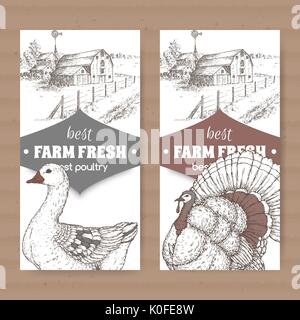 Due farm shop etichette con casa colonica e fienile, oca e Turchia sul bianco. Illustrazione Vettoriale