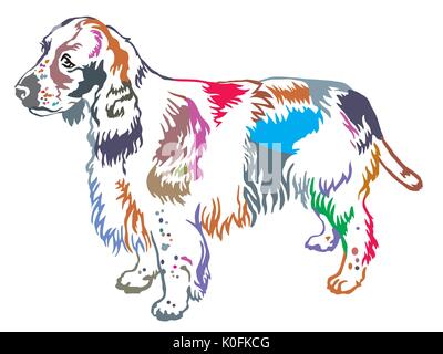 Decorativo colorato ritratto di standing in profilo cane English Springer Spaniel, vettore illustrazione isolato su sfondo bianco Illustrazione Vettoriale