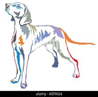 Decorativo colorato ritratto di standing in profilo Weimaraner, vettore illustrazione isolato su sfondo bianco Illustrazione Vettoriale