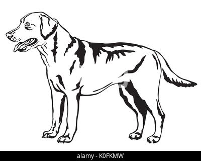 Ritratto decorativo di standing in profilo Labrador Retriever, vettore isolato illustrazione in colore nero su sfondo bianco Illustrazione Vettoriale