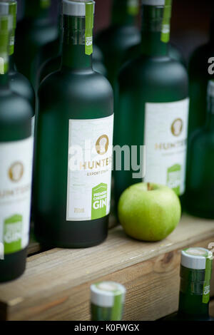 L'uscita di Lowery a Salford Quays 'Makers mercato " i cacciatori di bottiglie di gin Foto Stock