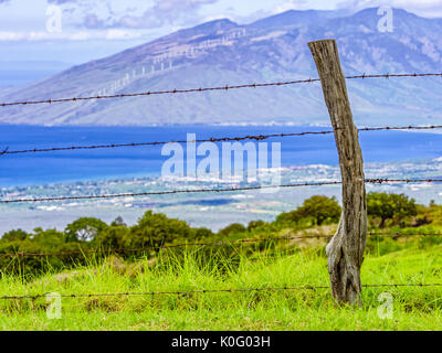 Recinzione di fattoria upcountry Maui Hawaii Foto Stock